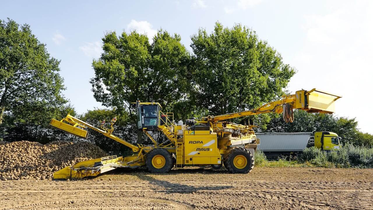 Heavy Equipment Rental Near Me